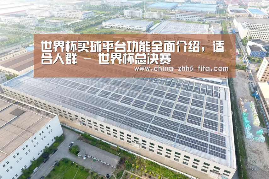 案例展示二