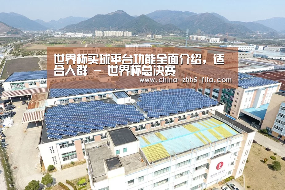 案例展示二