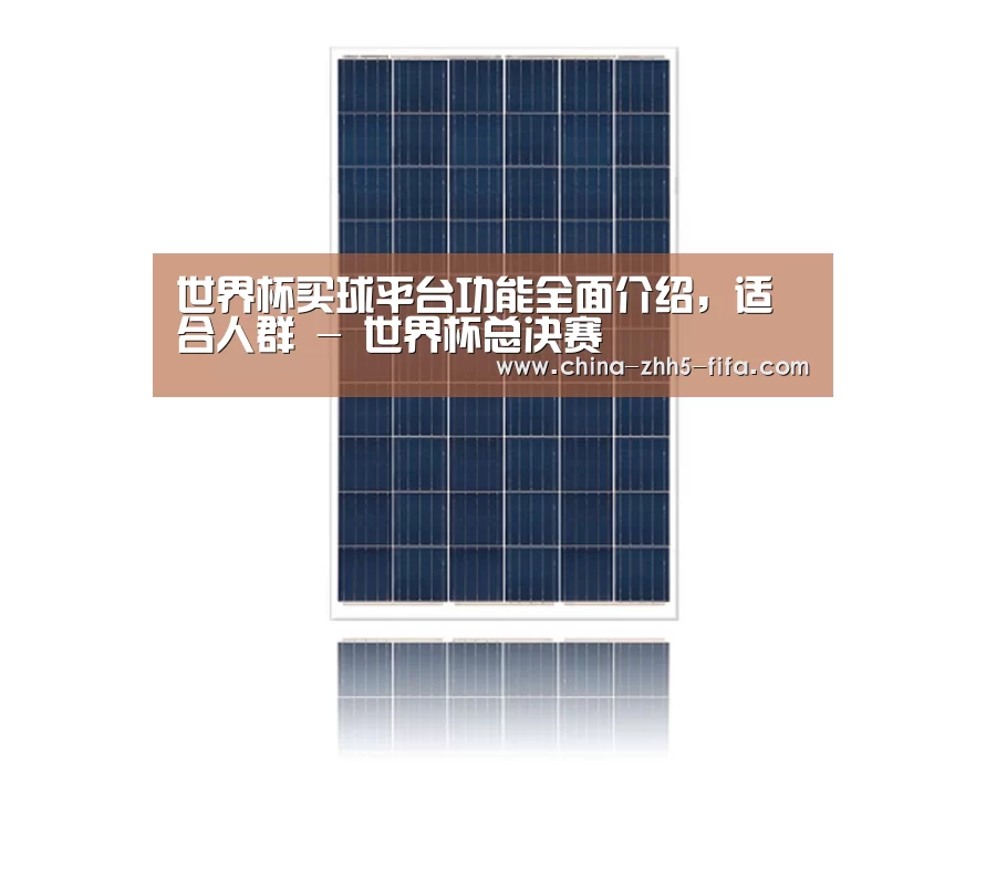 产品名称一