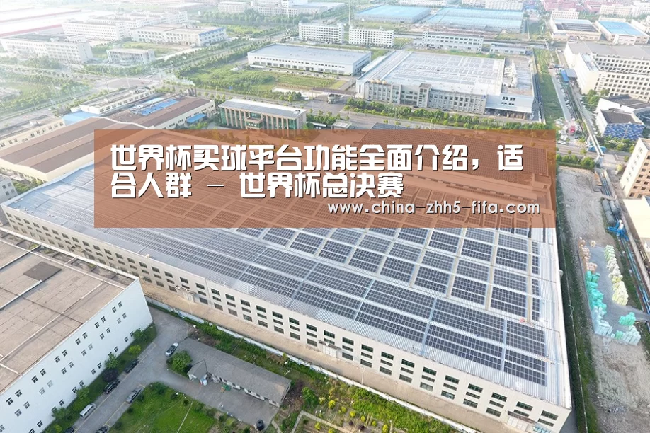 案例展示二