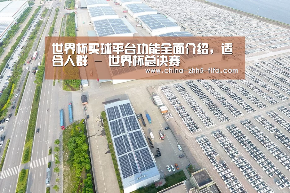 案例展示一