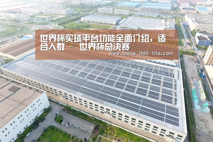 案例展示三