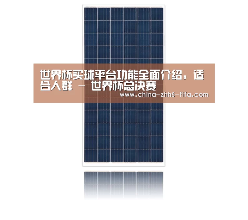 产品名称一