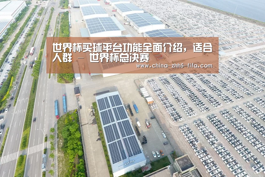 案例展示三