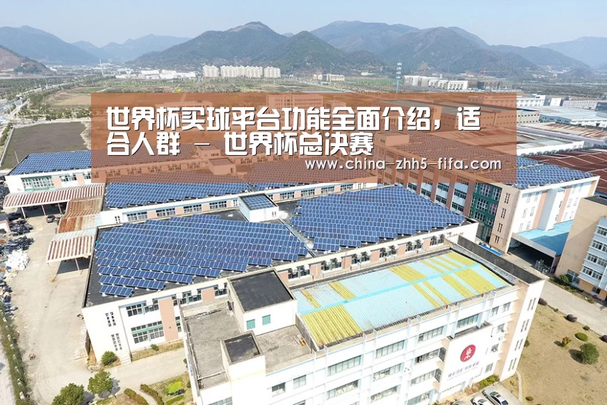 案例展示三