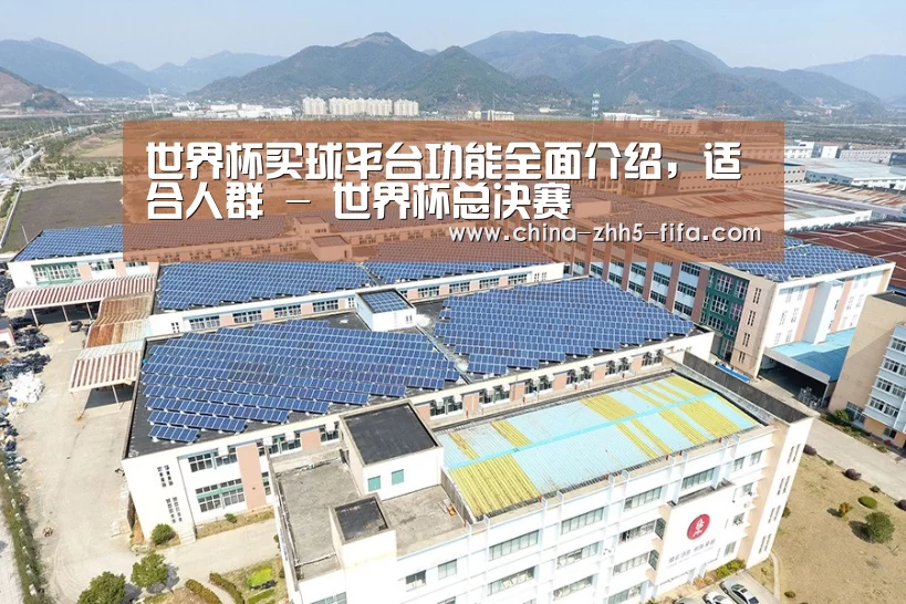 案例展示三
