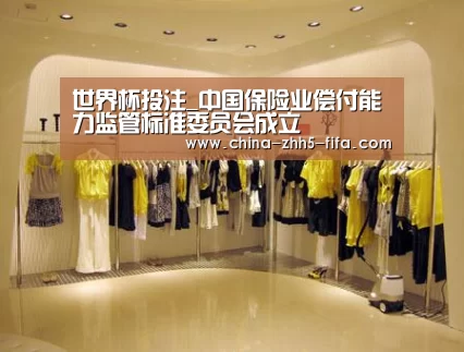 世界杯投注_中国保险业偿付能力监管标准委