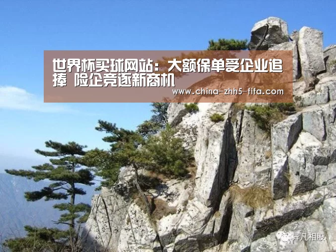 世界杯买球网站:大额保单受企业追捧 险企竞逐新商机(图2) 世界杯外围买球