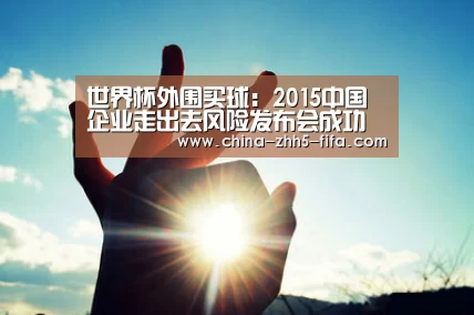 世界杯外围买球:2015中国企业走出去风险发布会成功召开(图2) 世界杯外围买球