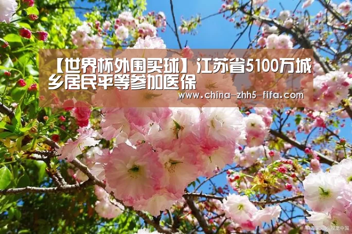 【世界杯外围买球】江苏省5100万城乡居民平等参加医保(图1) 世界杯买球网站